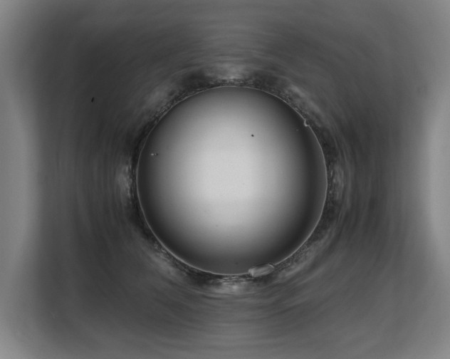 X0000108480612200904031431