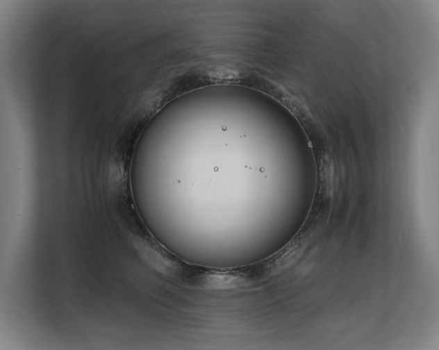 X0000108480614200904031431