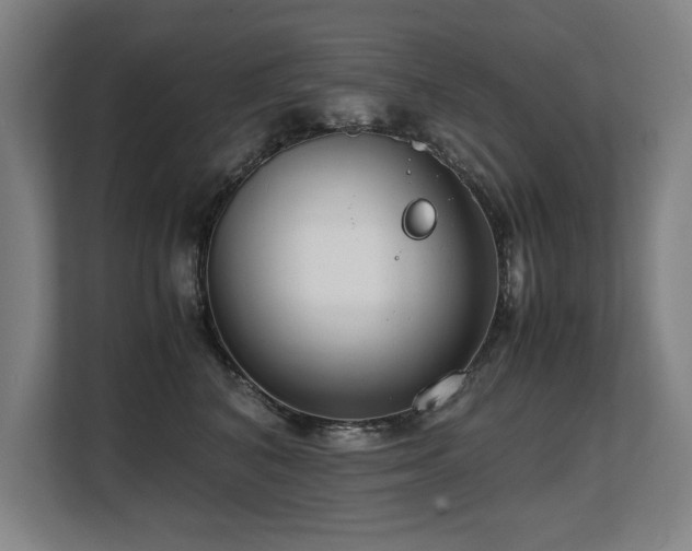 X0000108480616200904031431