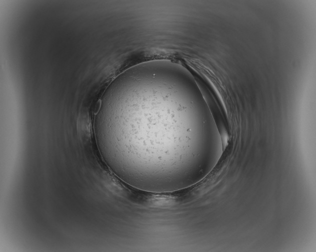 X0000108480617200904031431