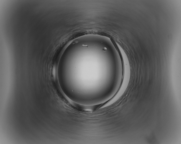 X0000108480619200904031431