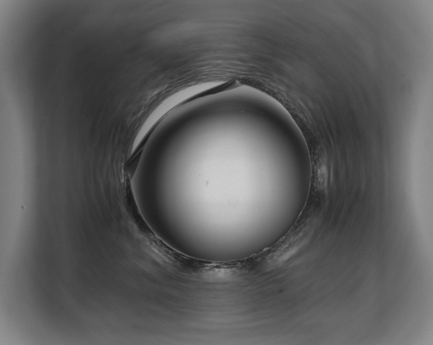 X0000108480620200904031431