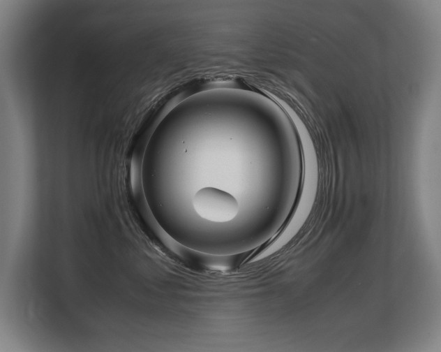 X0000108480621200904031431