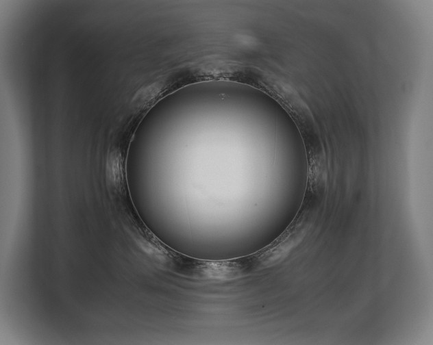 X0000108480623200904031431
