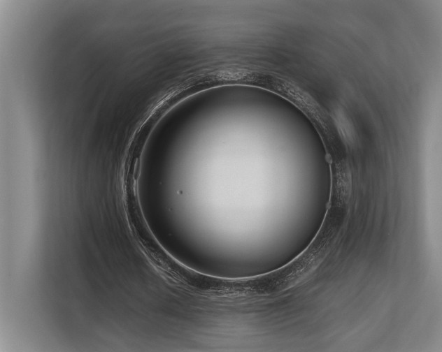 X0000108480626200904031430