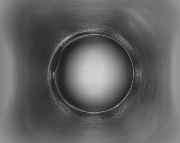X0000108480628200904031430