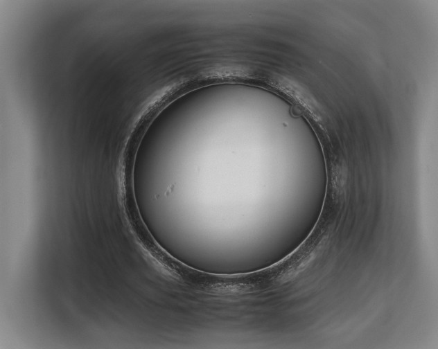X0000108480629200904031430