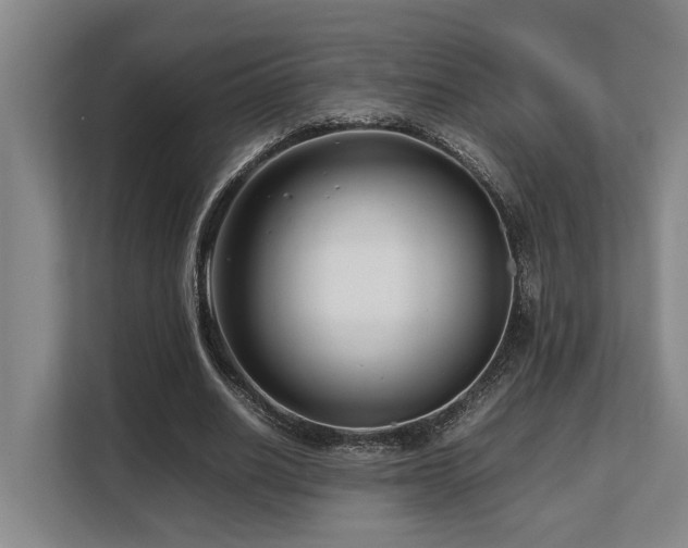 X0000108480630200904031430