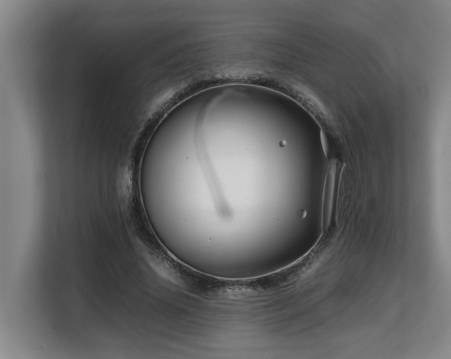 X0000108480636200904031430
