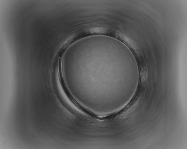 X0000108480637200904031430