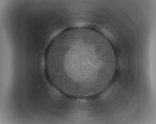 X0000108480640200904031430