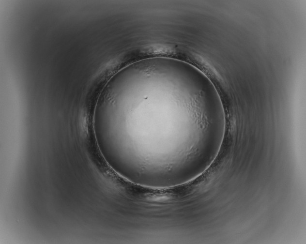 X0000108480643200904031430