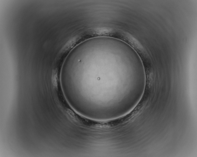 X0000108480644200904031430