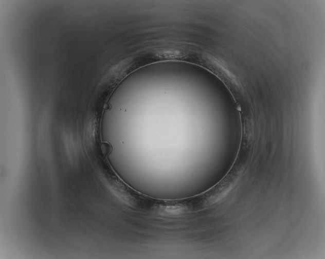 X0000108480645200904031430
