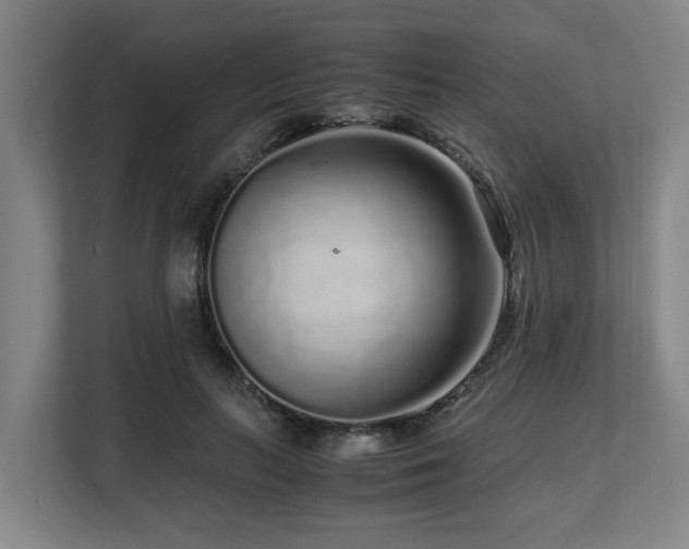 X0000108480647200904031430