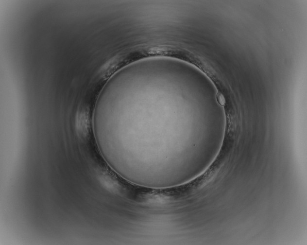 X0000108480648200904031430