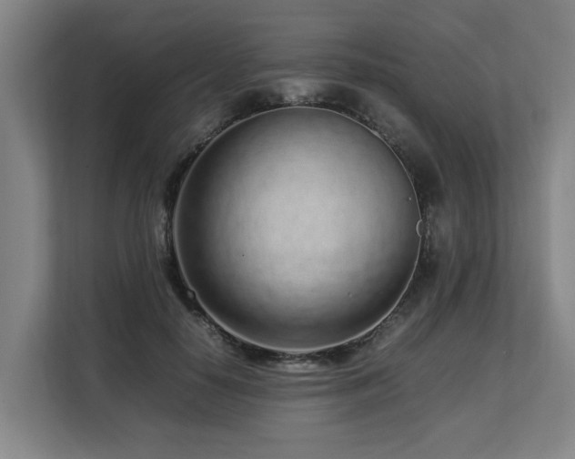 X0000108480650200904031430