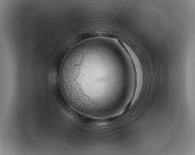 X0000108480651200904031430