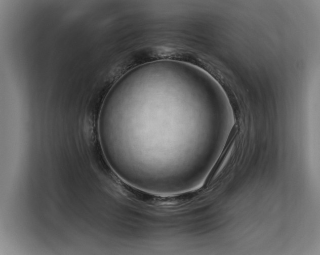 X0000108480653200904031431