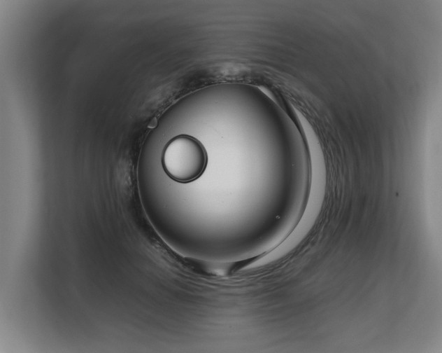 X0000108480654200904031431
