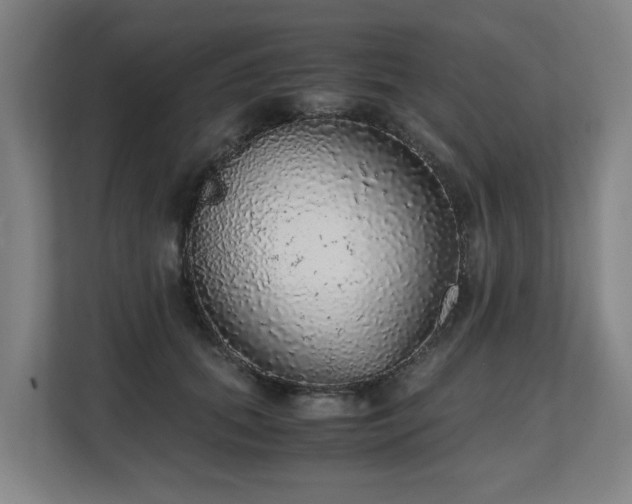 X0000108480655200904031431