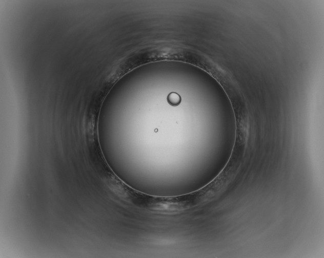 X0000108480657200904031431