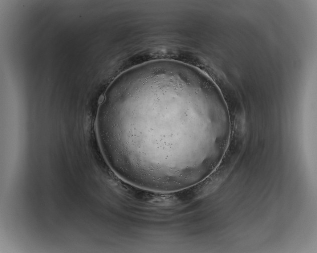 X0000108480659200904031431