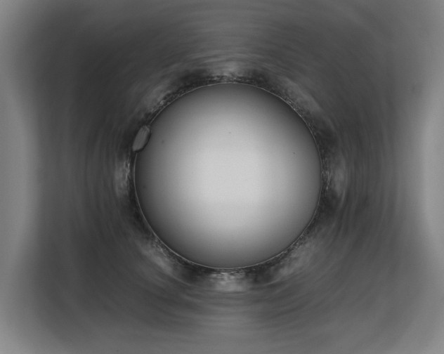X0000108480660200904031431