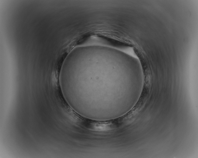 X0000108480661200904031431