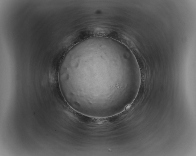 X0000108480663200904031431