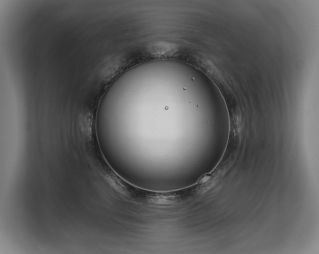 X0000108480664200904031431