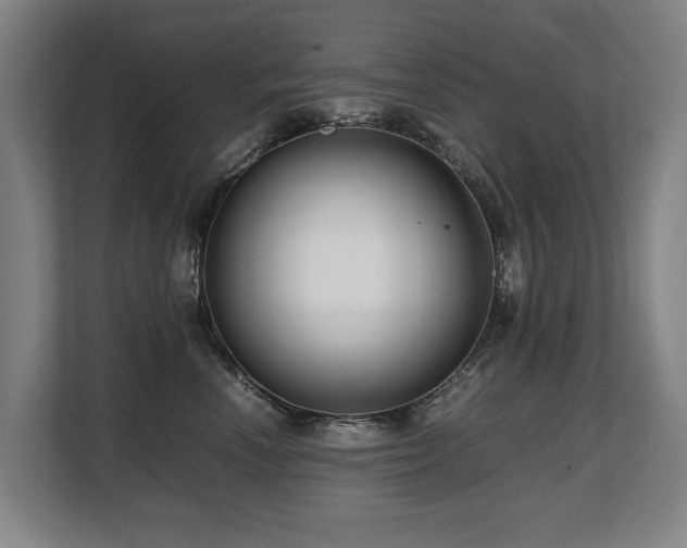 X0000108480666200904031431
