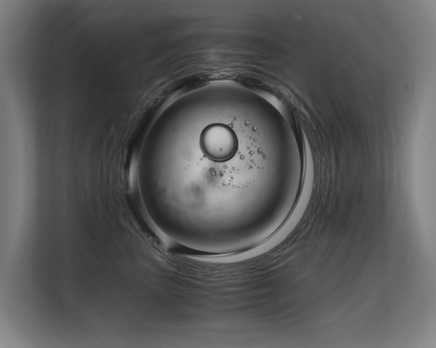 X0000108480667200904031431