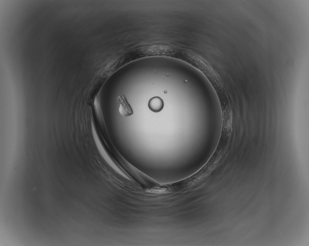 X0000108480669200904031431