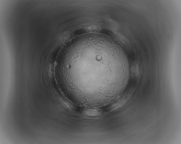 X0000108480671200904031431