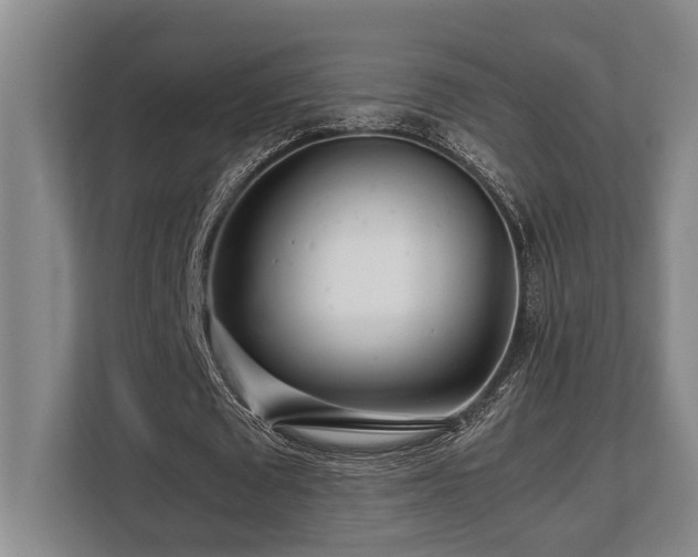 X0000108480673200904031430