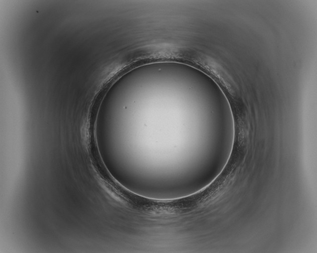 X0000108480677200904031430