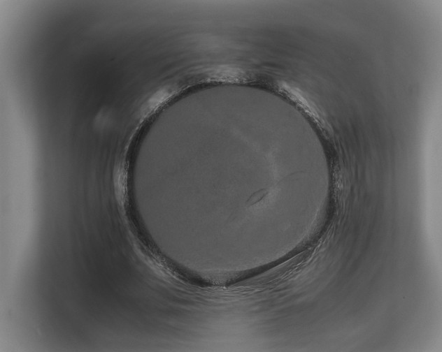 X0000108480679200904031430