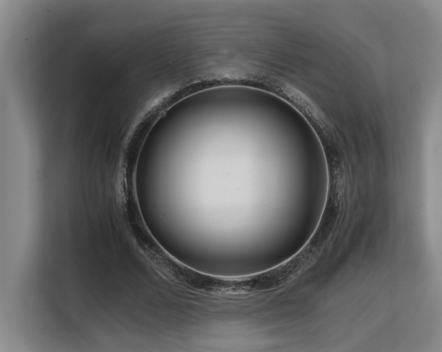 X0000108480680200904031430