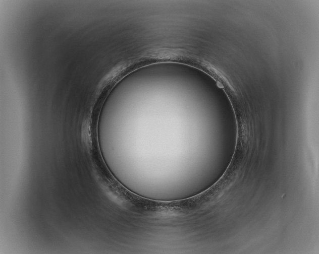 X0000108480682200904031430