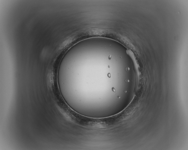 X0000108480683200904031430