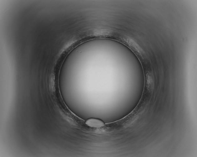 X0000108480684200904031430