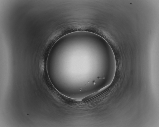 X0000108480685200904031430