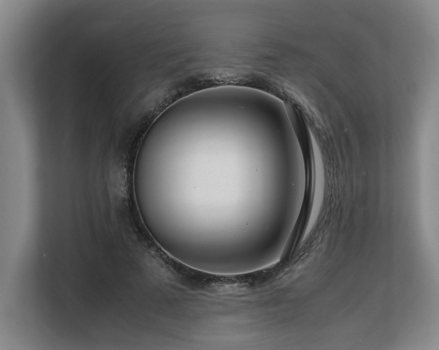 X0000108480689200904031430