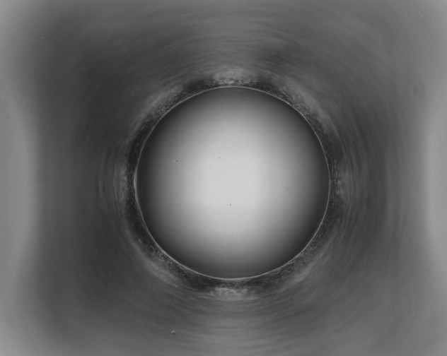 X0000108480690200904031430