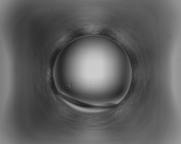 X0000108480693200904031430