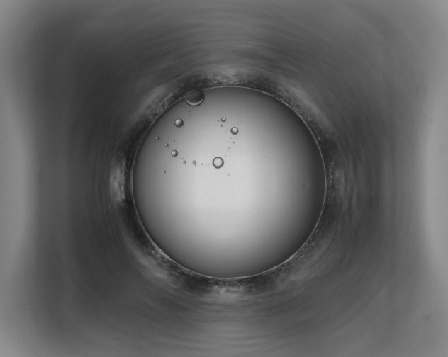 X0000108480694200904031430