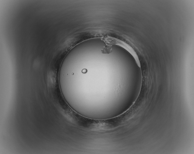 X0000108480695200904031430