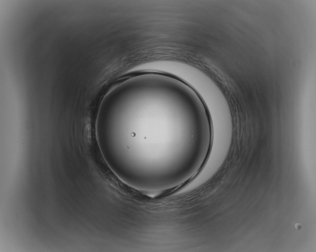 X0000108480696200904031430