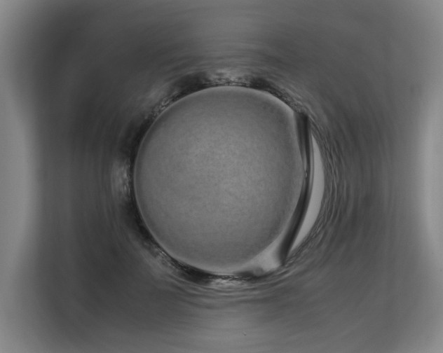 X0000108480699200904031430